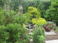 Garden from Conservatory